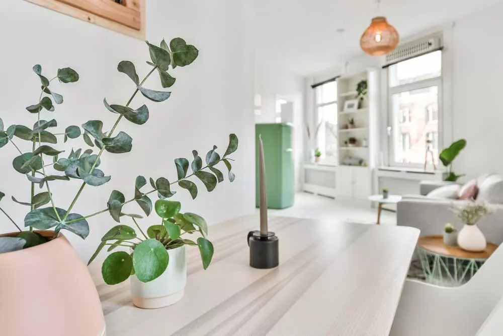 7 Beneficios de la eficiencia energética en el diseño de interiores