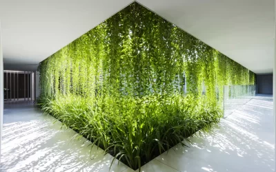 Diseño sostenible para espacios interiores modernos